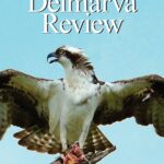 Delmarva Review Volume 15 Cover